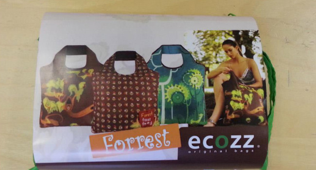Fotografie reference - ECOZZ